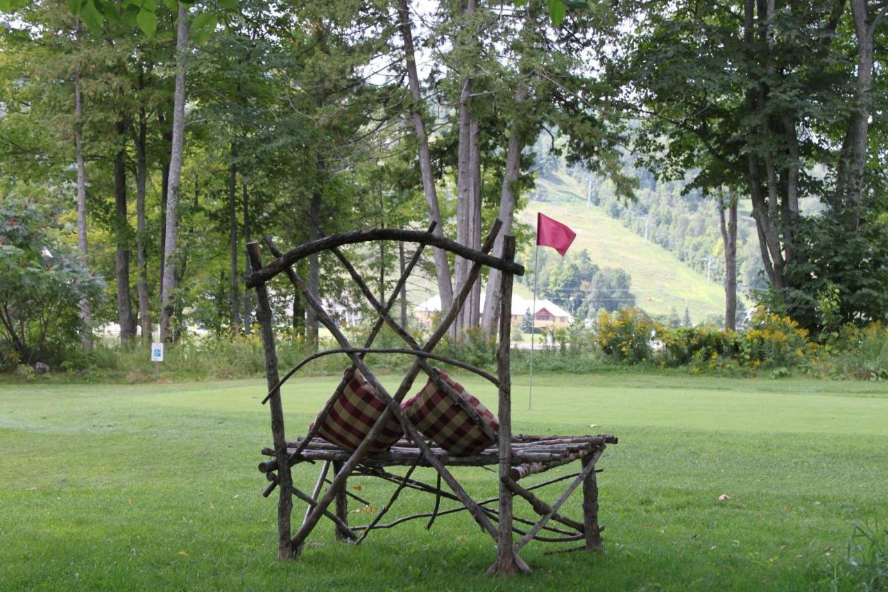 Calabogie Peaks Hotel, Ascend Hotel Member Dış mekan fotoğraf